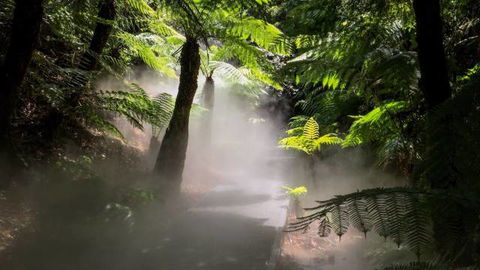 Australian National Botanic Gardens - Attractions 4