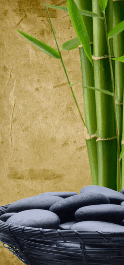 Je Suis Femme - Attractions 3