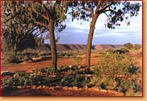 Kings Creek Station - Attractions 1
