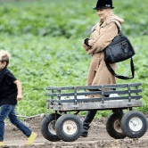 Perth City Farm Organic Markets - Attractions 0