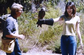 Eagles Heritage Raptor Wildlife Centre - Attractions 2