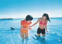 Book Cockburn Central Accommodation Vacations Attractions Attractions