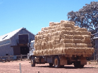 Avondale Discovery Farm - Attractions 1