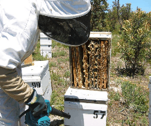 Herne Hill WA Attractions