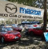 The Motor Museum - Attractions 2