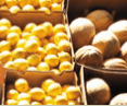 Brisbane Markets - Attractions