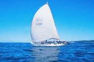 Manly Harbour Village - Attractions
