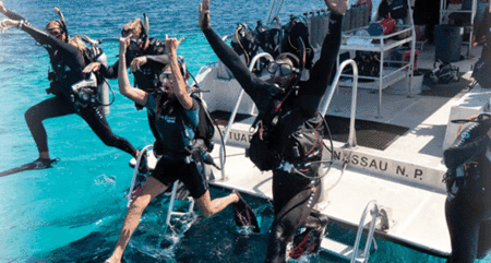 Snorkel Safari Brisbane - Attractions