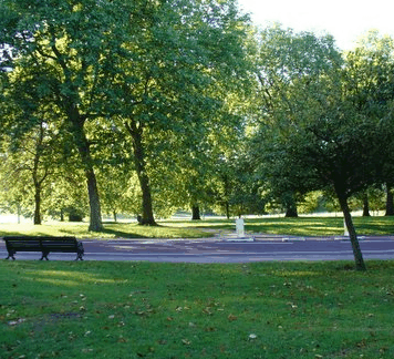 Riverdale Park - Attractions 0