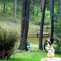 Gain Life Healing Health Retreat - Attractions 2