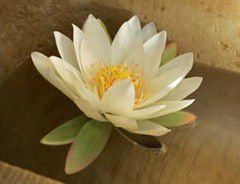 St Georges Natural Health Therapies - Attractions 3