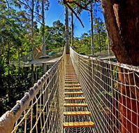 Thunderbird Park - Attractions