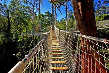 Thunderbird Park - Attractions 0