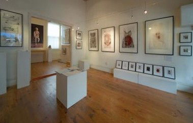 Bird's Gallery - Attractions 0