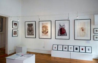 Bird's Gallery - Attractions 1
