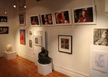 Bird's Gallery - Attractions 2