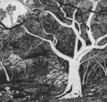 Tacit Contemporary Art - Attractions
