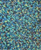 Block Projects - Attractions Las Vegas 2