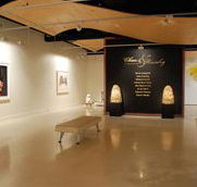 Counihan Gallery In Brunswick - Attractions