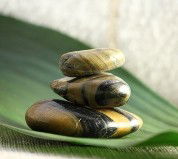 The Nature Of Balance - Attractions 0
