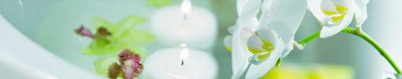 Energy Creations - Attractions 1