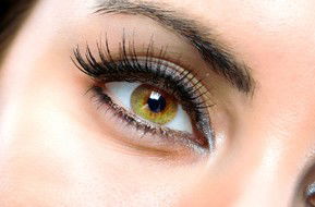 Beauty On Ryrie - Attractions Las Vegas 1