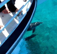 Pelican Charters - Attractions
