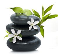 Tea House Spa Sauna - Attractions