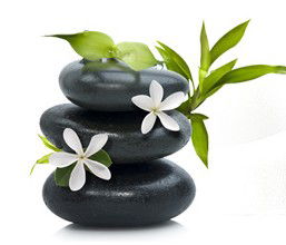Tea House Spa Sauna - Attractions 0