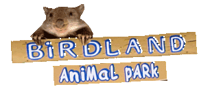 Birdland Animal Park - Attractions