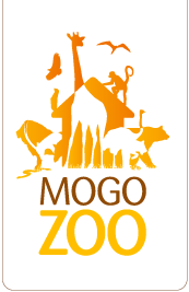 Mogo NSW Attractions