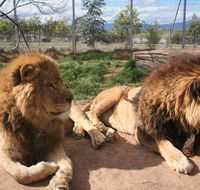 Mansfield Zoo - Attractions