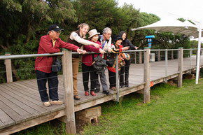 Phillip Island Penguin Parade - Attractions 1