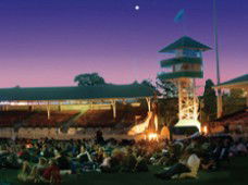 Starlight Cinema - Attractions 1