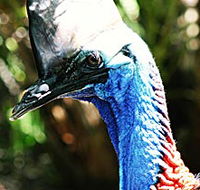 Alma Park Zoo - Attractions