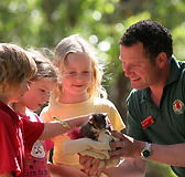 Cleland Wildlife Park - Attractions