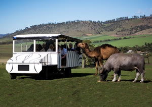 Zoo Doo Wildlife Park - Attractions 2