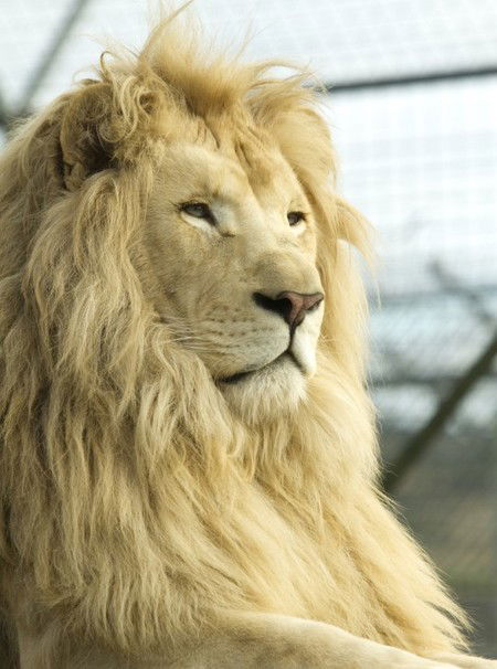 Zoo Doo Wildlife Park - Attractions 3