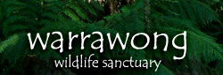Warrawong Wildlife Park - Attractions 0