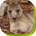 Calmsley Hill City Farm - Attractions 0
