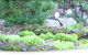Calmsley Hill City Farm - thumb 1