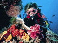 Gold Coast Seaway Dive Site