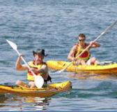 Manly Kayaks - Attractions