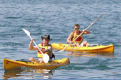 Manly Kayaks - Attractions 0