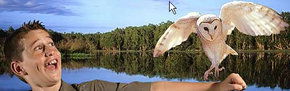 Territory Wildlife Park - Attractions 2