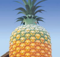The Big Pineapple - Attractions