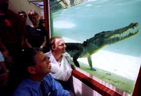 Alice Springs Reptile Centre - Attractions 1