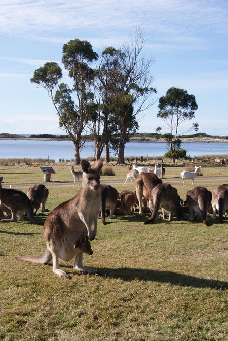 East Coast Natureworld - Attractions 1