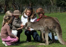 Gumbuya Park - Attractions 1