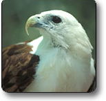 Kakadu National Park - Attractions